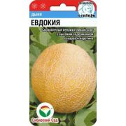 Дыня Евдокия /СибСад/ 7шт/ ранняя до 2кг