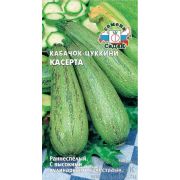 Кабачок Касерта /СеДеК/ 2г/ раннесп. кустов. 0,6-1,4кг светло-зеленые