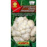 Капуста цветная Елена Прекрасная /Аэлита/ 0,3г/ ранняя 1,4-1,6кг