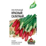 Лук На зелень Красный Салатный  /Гавриш/ 0,5г/ ХИТ