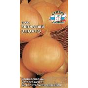 Лук Опорто /Седек/ 1г/ среднесп. 250-300г