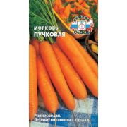 Морковь Пучковая /Седек/ 2г/ раннесп. 11-17см 55-150г