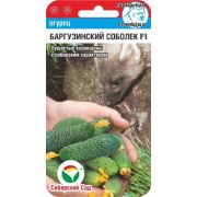 Огурец Баргузинский соболек F1 /СибСад/ 7шт/ раннесп .7-8см