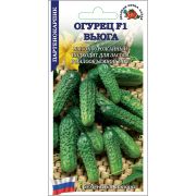 Огурец Вьюга F1 /Сотка/ 0,15 г/ партен. раннесп. 6-8см/*1500