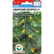 Огурец Сибирский Экспресс F1 /СибСад/ 7шт/ партен. раннесп. 10-12см