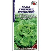 Салат Кучерявец грибовский /Сотка/*1500