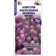 Алиссум Пасхальная шляпка Виолет /Сотка/ 0,01 г/ h-12см d-5см/*1800