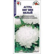 Астра Биг Бен белый /Сотка/ 0,2г/ пион. 65см, d-10см/*1500