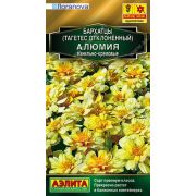 Бархатцы Алюмия ванильно-кремовые /Аэлита/ 7шт/ откл. h-30см d-6см