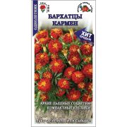 Бархатцы Кармен /Сотка/ 0,2г/ откл. красно-корич. h-20-30см d-4-6см/*1200