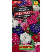 Вербена Искушение смесь /Аэлита/ 40шт/ ампельн. h-45см d-2см