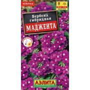 Вербена Маджента /Аэлита/ 10шт/ h-20см d-5см