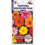 Георгина Краснолистная см /Сотка/ 0,1 г (40-50см, махр и полумахр)/*1500