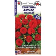 Георгина Фигаро Красный /Сотка/ 7шт/ h-45cм, d-10см /*1500
