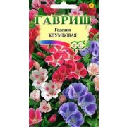 Годеция Клумбовая смесь /Гавриш/ 60см