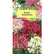 Клеома Матильда колючая /Гавриш/ 0,3г/ смесь h-100см