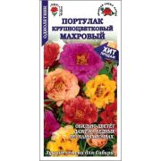 Портулак Махровый крупноцветковый /Сотка/ 0,1г/ смесь h-20см, d-6см/*1500