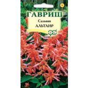 Сальвия Альтаир /Гавриш/ 5шт/ лосос.-оранж. h-25см
