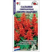 Сальвия Аморе Скарлет /Сотка/ 10шт/*2000