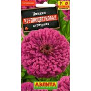 Цинния Крупноцветковая пурпурная /Аэлита/ 0,3г/ h-90см d-15см
