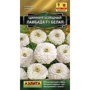 Цинния Ламбада F1 белая /Аэлита/ 0,2г/ h-25см d-8см