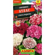 Гвоздика Атлас турецкая смесь /Аэлита/ 0,1г/ махр. h-25см d-10-12см