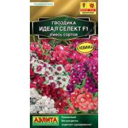 Гвоздика Идеал Селект F1 смесь /Аэлита/ 7шт/ h-25см d-4см