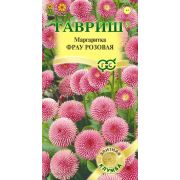 Маргаритка Фрау Розовая /Гавриш/ 5шт/ h-15см, d-5см