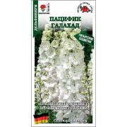 Дельфиниум Пацифик Галахад /Сотка/ 7шт/ мног. h-120-155см/