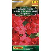 Ком: Бальзамин Афина Красный F1/Аэлита/ 5шт/
