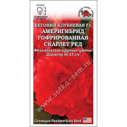 Ком: Бегония Америгибрид Скарлет Ред F1 /Сотка/ 5шт/ гофрир. h-50см d-23см PanAm/*500