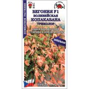 Ком: Бегония Копакабана Триколор /Сотка/ 5шт/*500
