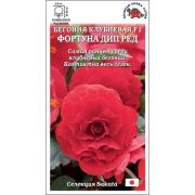 Ком: Бегония Фортуна F1 Дип Ред /Сотка/ 5шт/ клуб. h-30см d-8см Sakata/*500