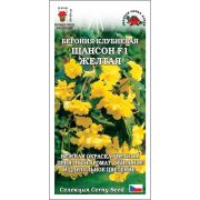 Ком: Бегония Шансон F1 желтая /Сотка/ 5шт/*500 /  НОВИНКА!