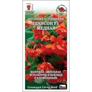 Ком: Бегония Шансон F1 медная /Сотка/ 5шт/ *500/ клуб. ампел. h-45см d-8см