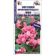Ком: Бегония вечноцветущая Фея Светло-Розовая /Сотка/ 5 шт/*500