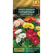 Ком: Гербера Горшечная смесь сортов /Аэлита/ 10 шт/