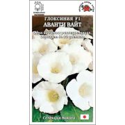 Ком: Глоксиния Аванти Вайт F1 /Сотка/ 5шт/ бел. h-25см d-15см Sakata/*500