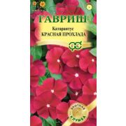 Ком: Катарантус Красная Прохлада /Гавриш/ 5шт/ h-35см d-5см розовый