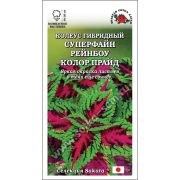 Ком: Колеус Суперфайн Рейнбоу Колор Прайд /Сотка/ 10шт/ h-35см Sakata/*500