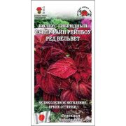 Ком: Колеус Суперфайн Рейнбоу Ред Вельвет /Сотка/ 10шт/ h-35см Sakata/*500