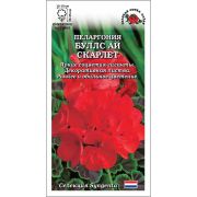 Ком: Пеларгония Буллс Ай Скарлет F1 /Сотка/ 3 шт/ красн. h-35см d-15см Syngenta