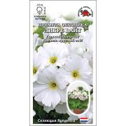 Ком: Примула Либре F1 Вайт /Сотка/ 5 шт/ бел. h-25см d-5см Syngenta/*500
