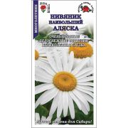 Нивяник Аляска /Сотка/ 0,2 г/ h-80-100см d-10-12см /*1500
