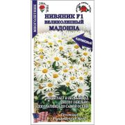 Нивяник Мадонна /Сотка/ 5шт/