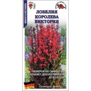 Лобелия Королева Виктория /Сотка/ 5шт/ *500