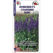 Лобелия Старшип Блю /Сотка/ 5шт/ h-50-60см d-2,5-3см /*500