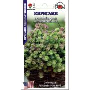 Орегано Киригами /Сотка/ 5шт/ h-35см PanAm/*500