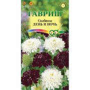 Скабиоза День и ночь /Гавриш/ 0,2г/ смесь