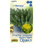 Очиток (седум) Оракл форстера /Аэлита/ 5шт/